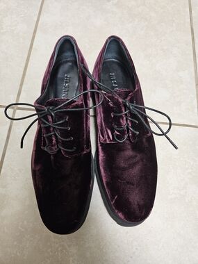 Jil Sander Velvet Oxford Shoes in Burgundy